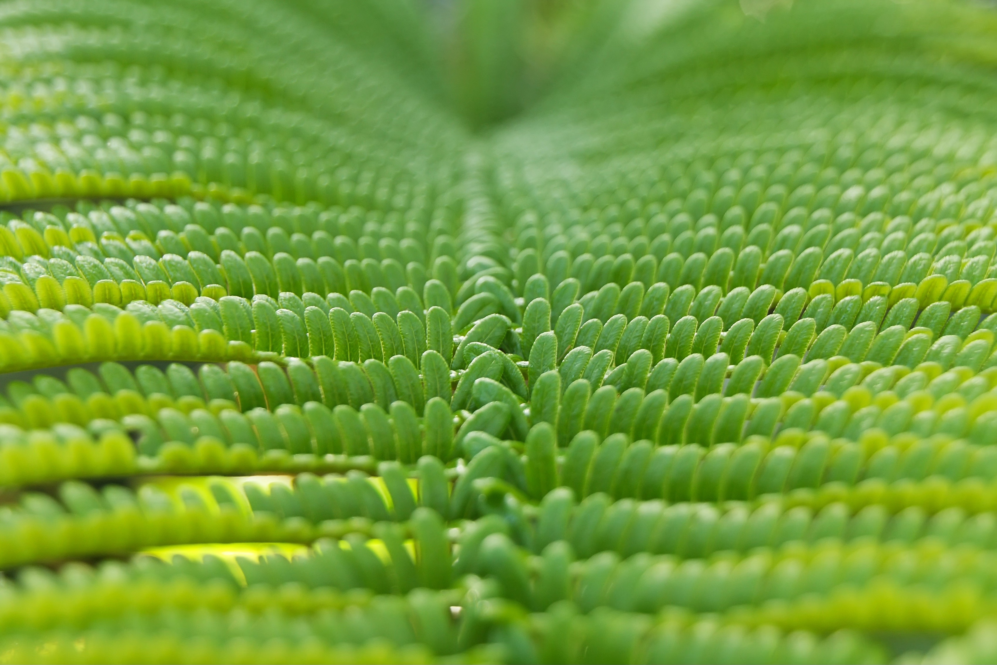 Safety #2: Steadiness Creates Safety Live Meditation