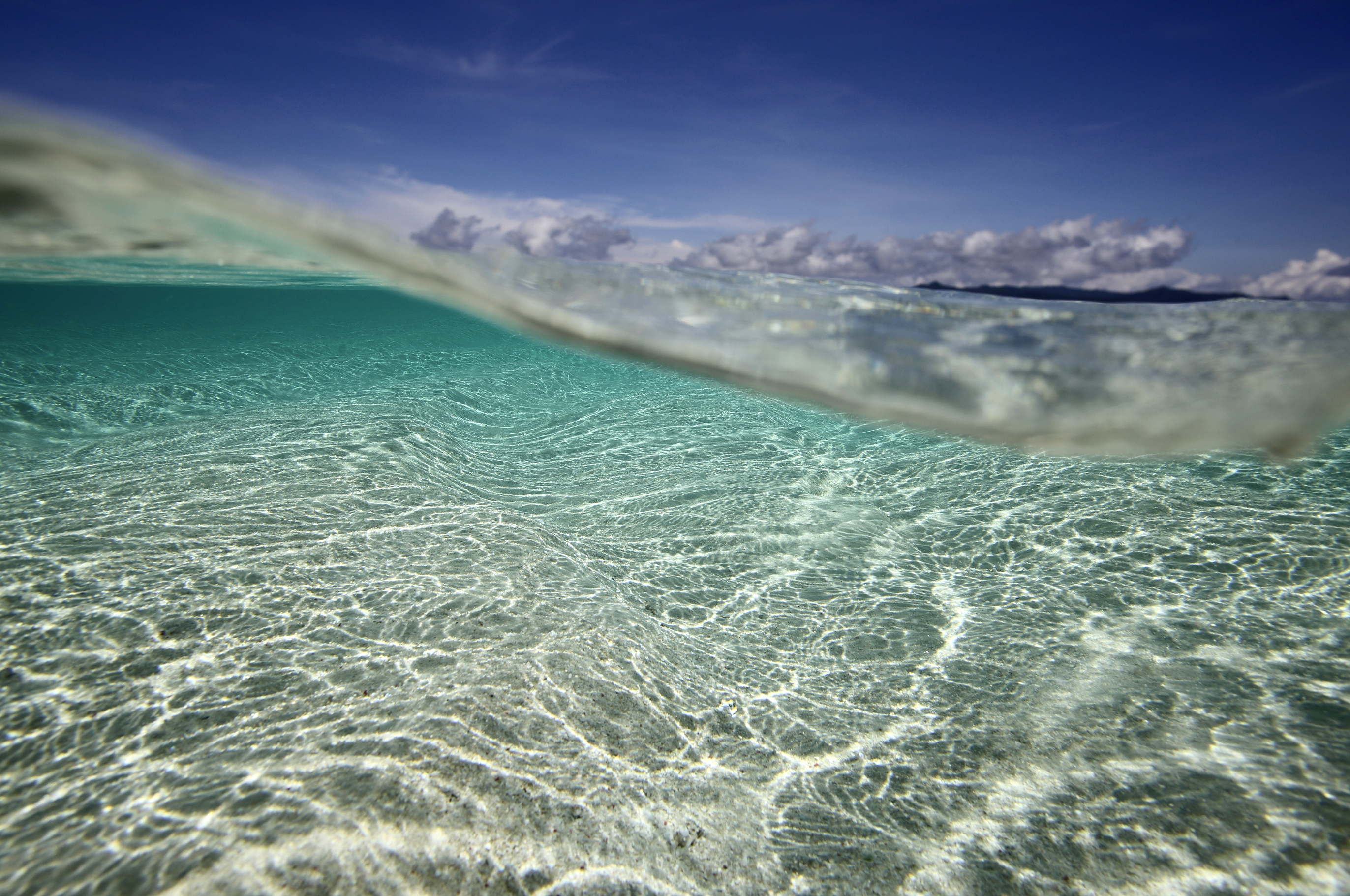 Dive In