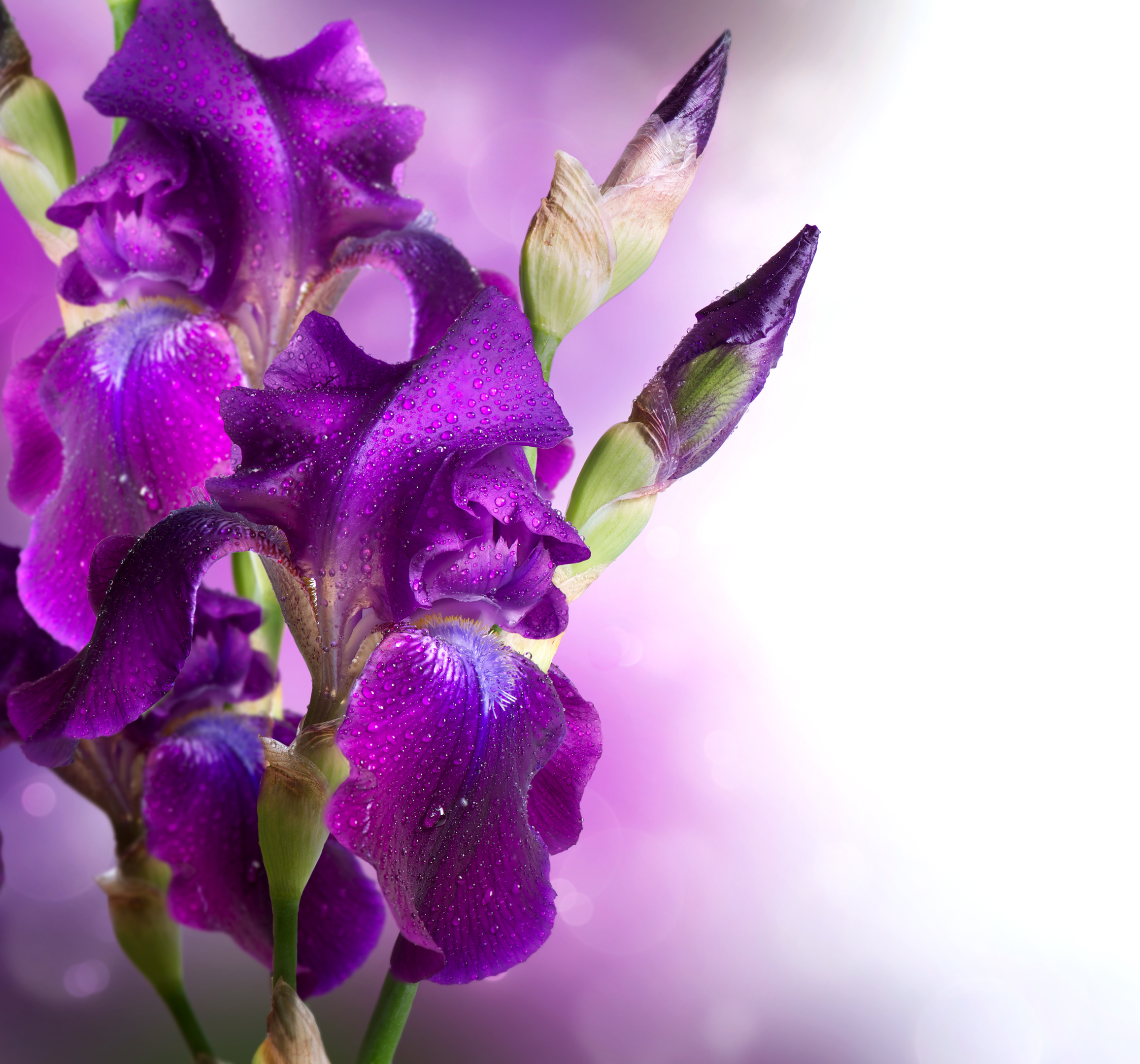 Receive That You Are Being Fully Loved