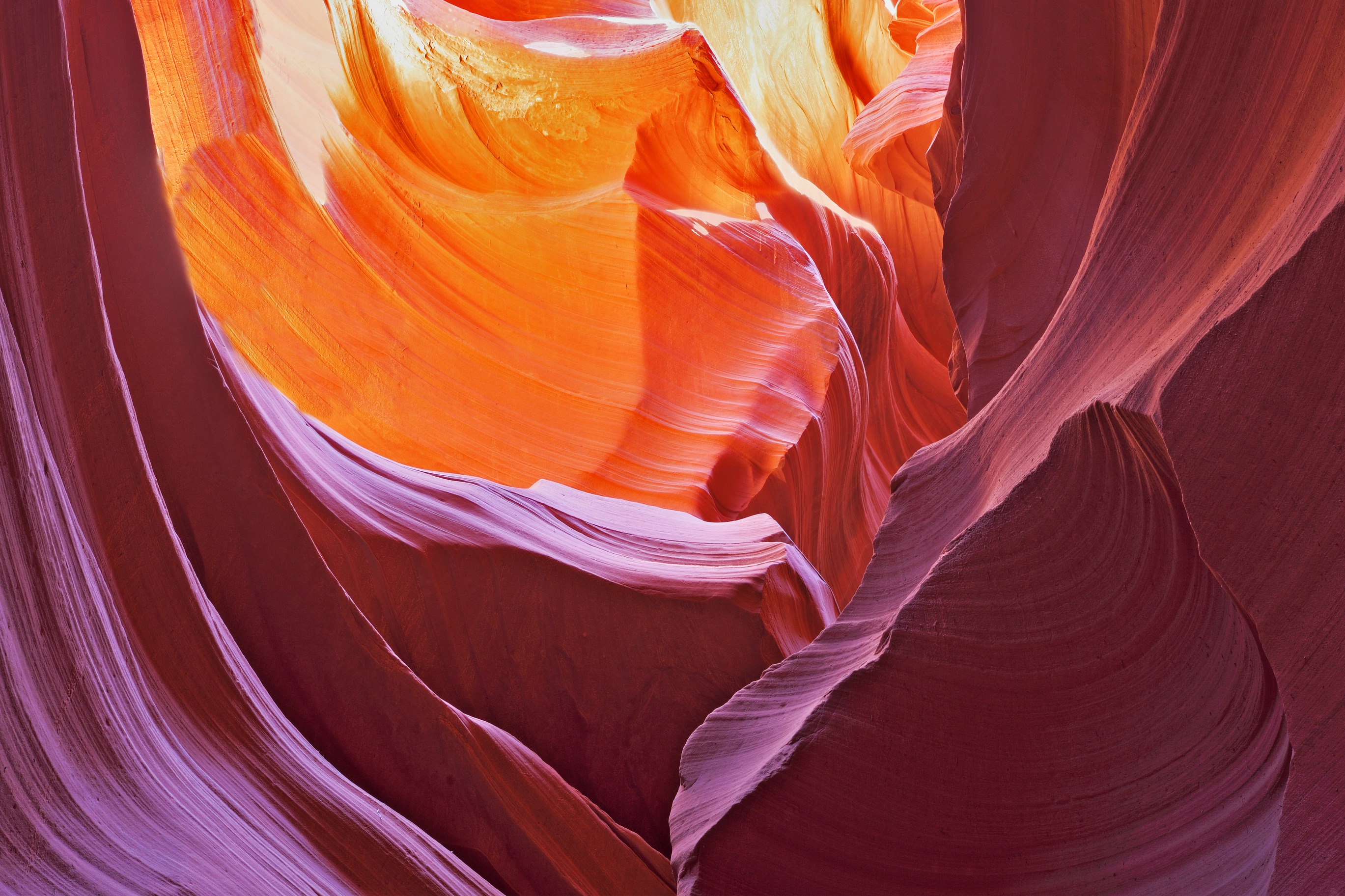The Art Of Resilience
