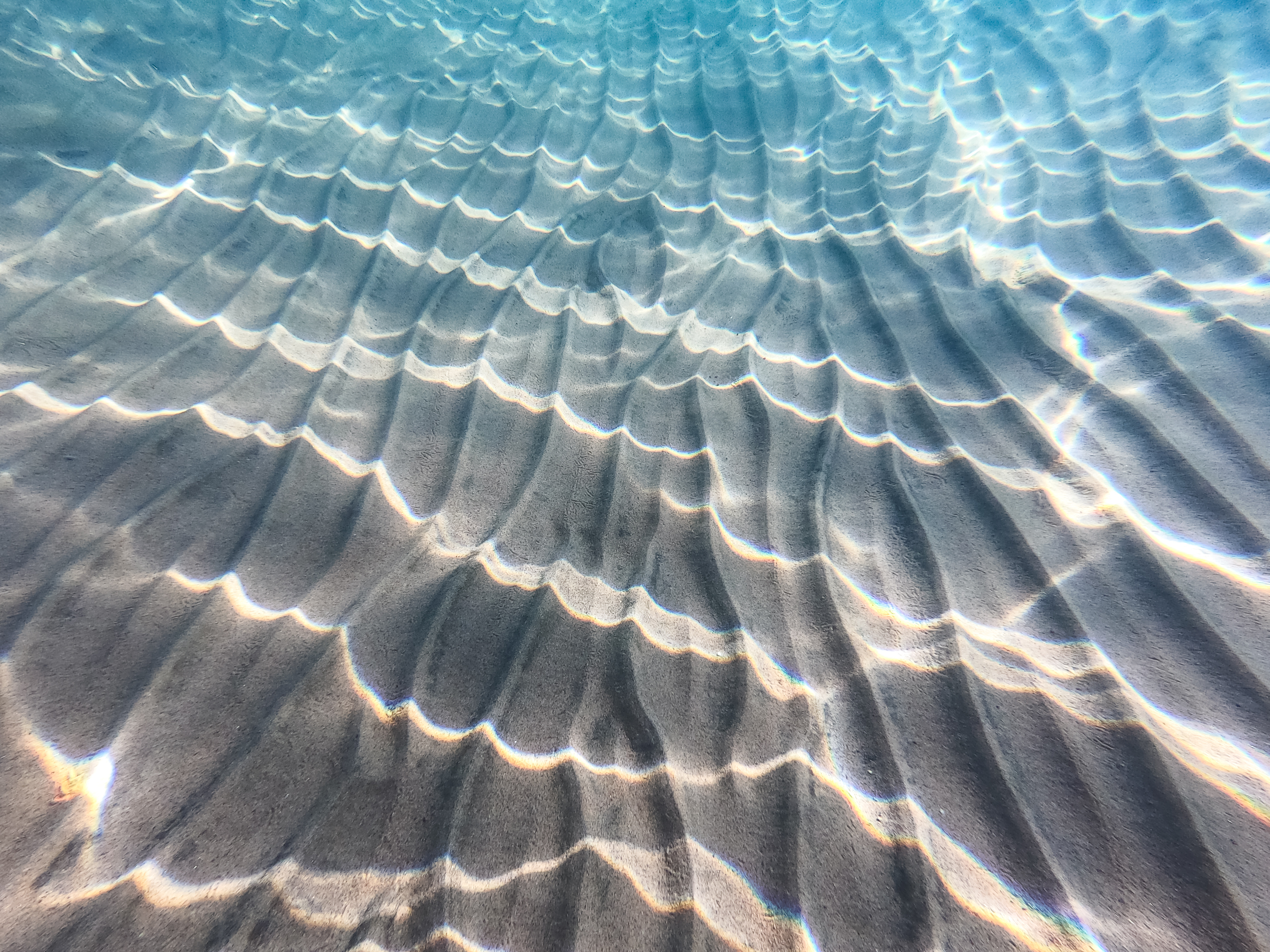 We Are the Ocean